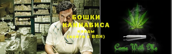 экстази Белокуриха