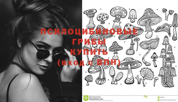 экстази Белокуриха