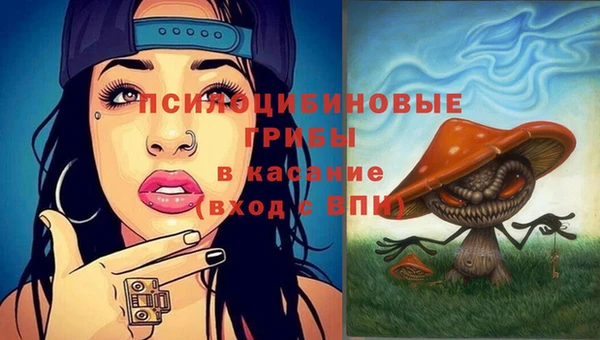 ALPHA PVP Беломорск