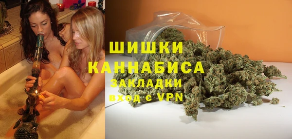 бошки Сясьстрой