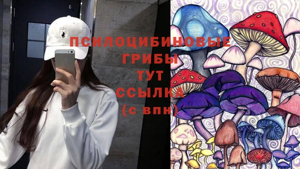 ALPHA PVP Беломорск