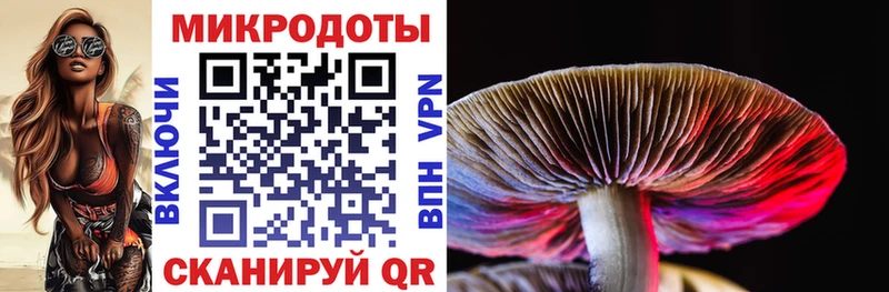 Галлюциногенные грибы GOLDEN TEACHER  хочу   Красный Кут 